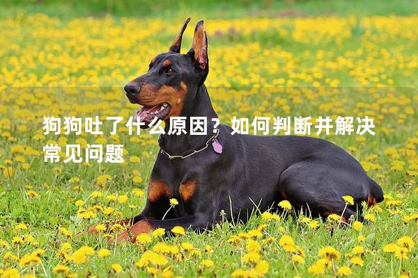 狗狗吐了什么原因？如何判断并解决常见问题