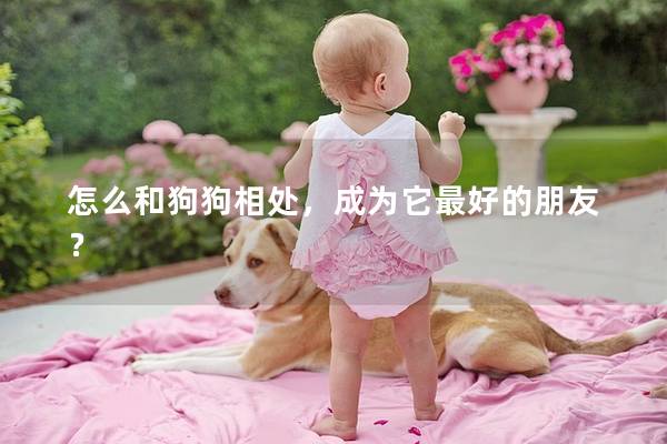 怎么和狗狗相处，成为它最好的朋友？