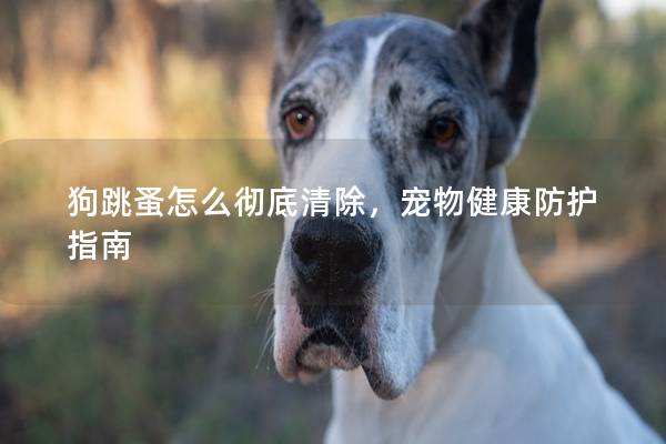 狗跳蚤怎么彻底清除，宠物健康防护指南