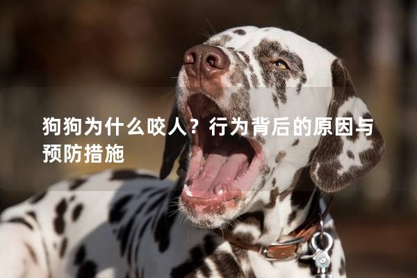 狗狗为什么咬人？行为背后的原因与预防措施