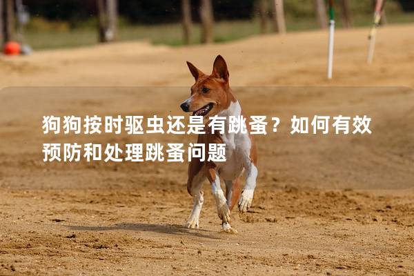 狗狗按时驱虫还是有跳蚤？如何有效预防和处理跳蚤问题