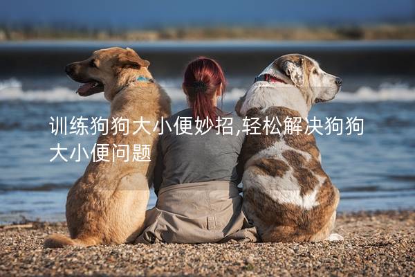 训练狗狗大小便妙招,轻松解决狗狗大小便问题