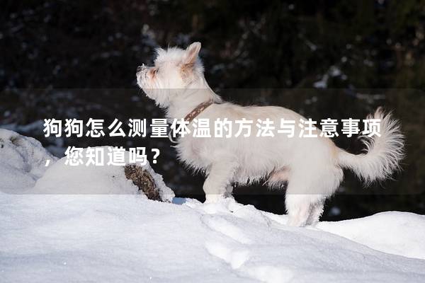 狗狗怎么测量体温的方法与注意事项，您知道吗？