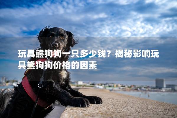 玩具熊狗狗一只多少钱？揭秘影响玩具熊狗狗价格的因素