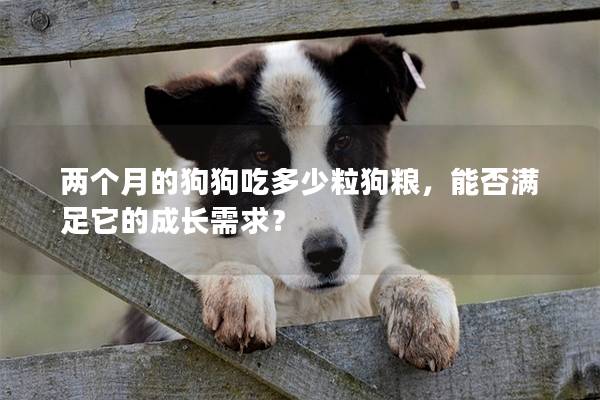 两个月的狗狗吃多少粒狗粮，能否满足它的成长需求？