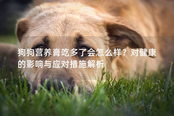 狗狗营养膏吃多了会怎么样？对健康的影响与应对措施解析