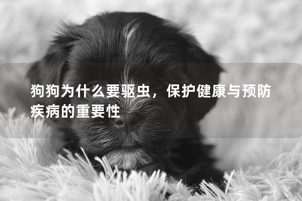狗狗为什么要驱虫，保护健康与预防疾病的重要性