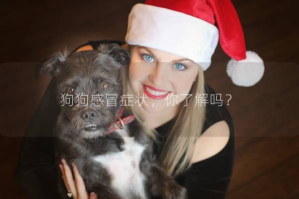 狗狗感冒症状，你了解吗？