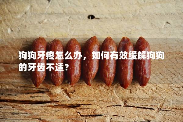 狗狗牙疼怎么办，如何有效缓解狗狗的牙齿不适？