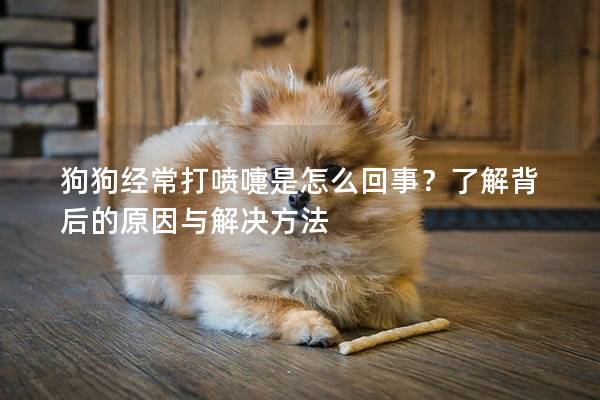 狗狗经常打喷嚏是怎么回事？了解背后的原因与解决方法