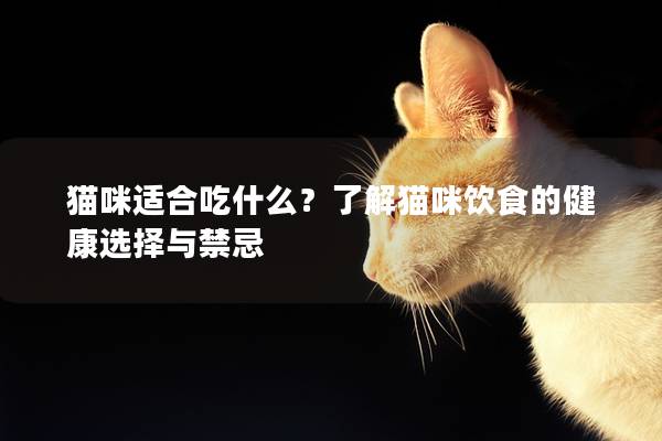 猫咪适合吃什么？了解猫咪饮食的健康选择与禁忌