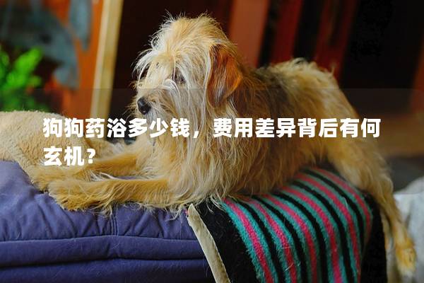 狗狗药浴多少钱，费用差异背后有何玄机？