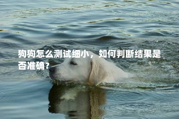 狗狗怎么测试细小，如何判断结果是否准确？