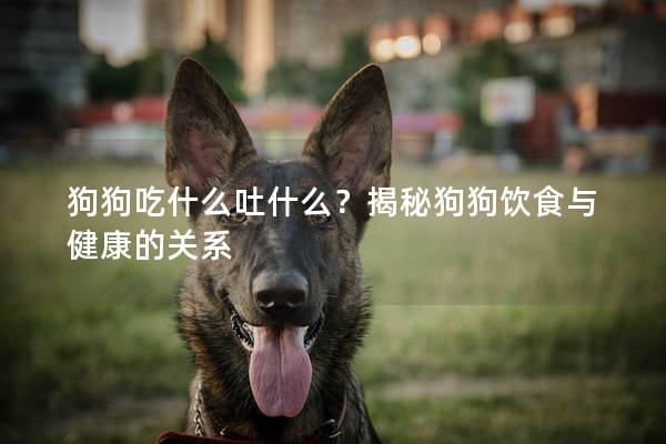 狗狗吃什么吐什么？揭秘狗狗饮食与健康的关系