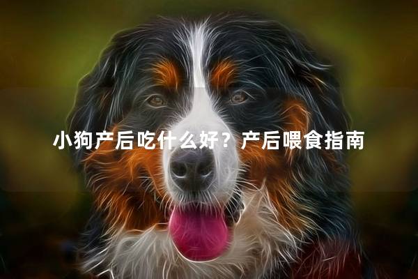 小狗产后吃什么好？产后喂食指南