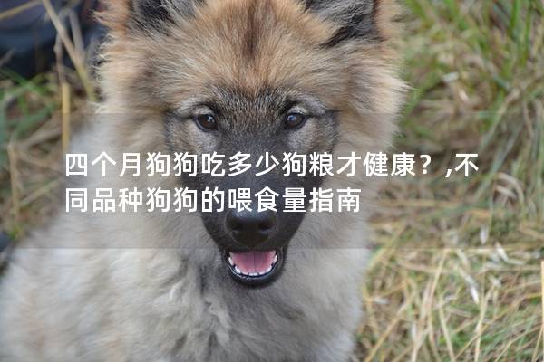 四个月狗狗吃多少狗粮才健康？,不同品种狗狗的喂食量指南