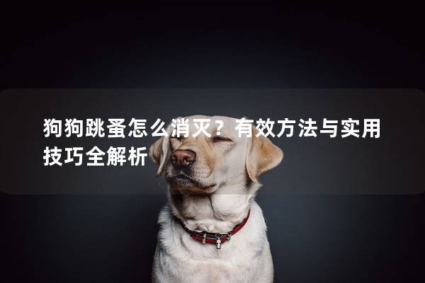 狗狗跳蚤怎么消灭？有效方法与实用技巧全解析