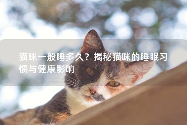 猫咪一般睡多久？揭秘猫咪的睡眠习惯与健康影响