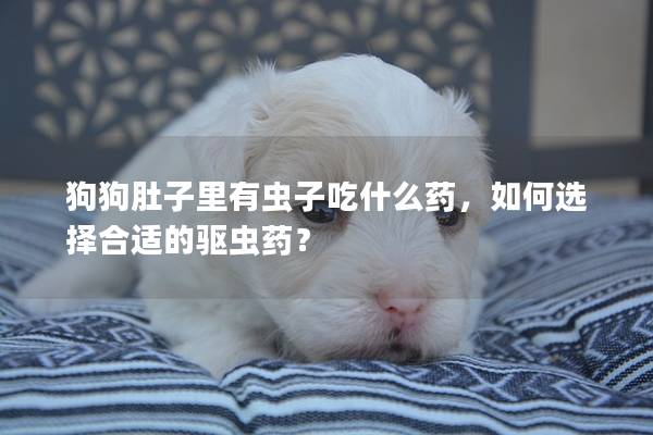 狗狗肚子里有虫子吃什么药，如何选择合适的驱虫药？
