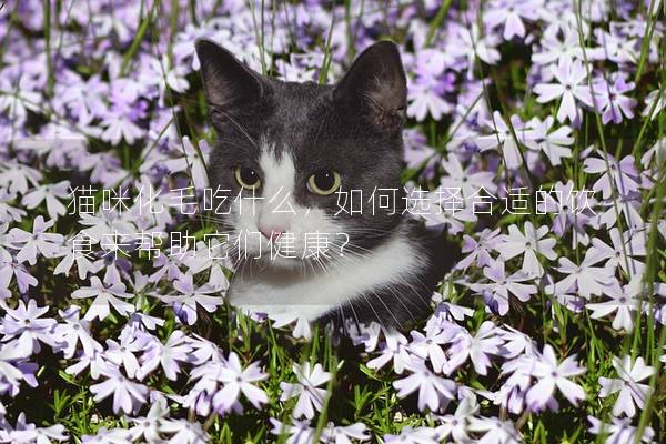 猫咪化毛吃什么，如何选择合适的饮食来帮助它们健康？