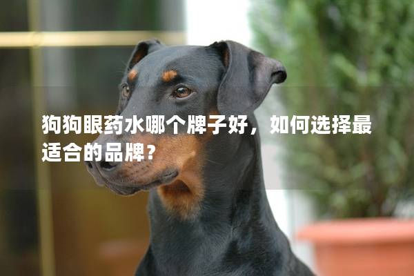 狗狗眼药水哪个牌子好，如何选择最适合的品牌？