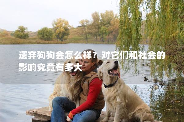 遗弃狗狗会怎么样？对它们和社会的影响究竟有多大