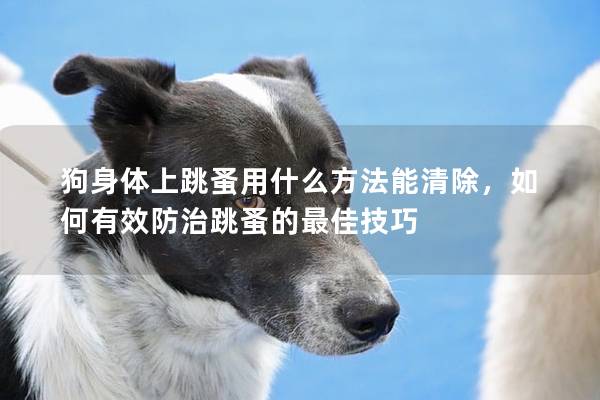 狗身体上跳蚤用什么方法能清除，如何有效防治跳蚤的最佳技巧