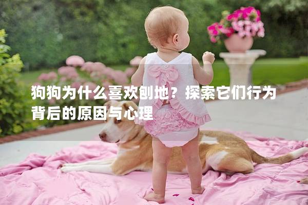 狗狗为什么喜欢刨地？探索它们行为背后的原因与心理