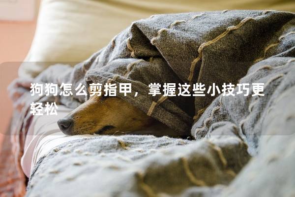 狗狗怎么剪指甲，掌握这些小技巧更轻松
