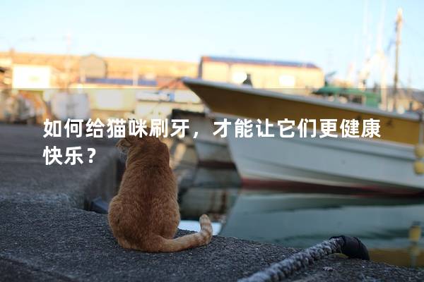 如何给猫咪刷牙，才能让它们更健康快乐？