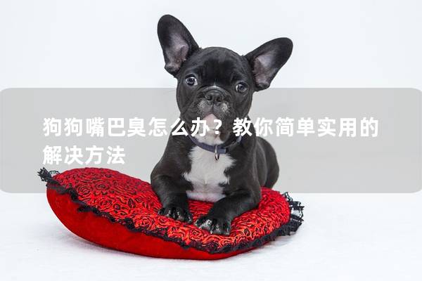 狗狗嘴巴臭怎么办？教你简单实用的解决方法