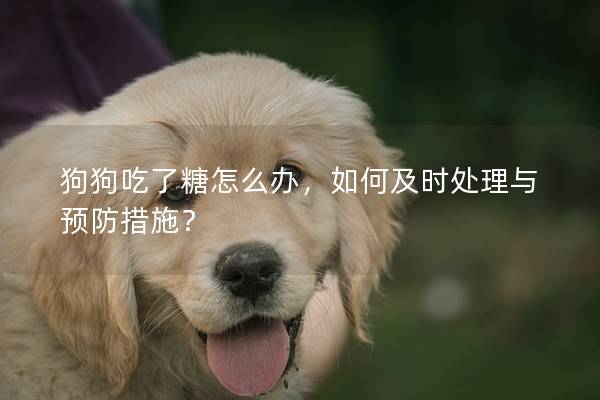 狗狗吃了糖怎么办，如何及时处理与预防措施？