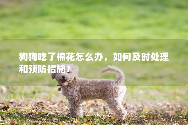 狗狗吃了棉花怎么办，如何及时处理和预防措施？