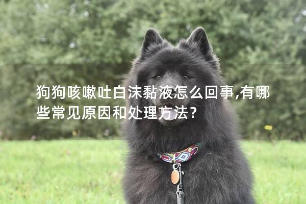 狗狗咳嗽吐白沫黏液怎么回事,有哪些常见原因和处理方法？