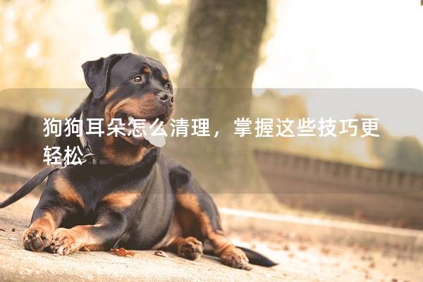 狗狗耳朵怎么清理，掌握这些技巧更轻松