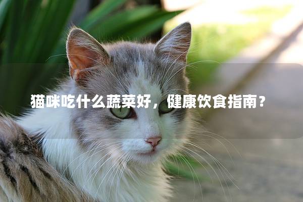 猫咪吃什么蔬菜好，健康饮食指南？
