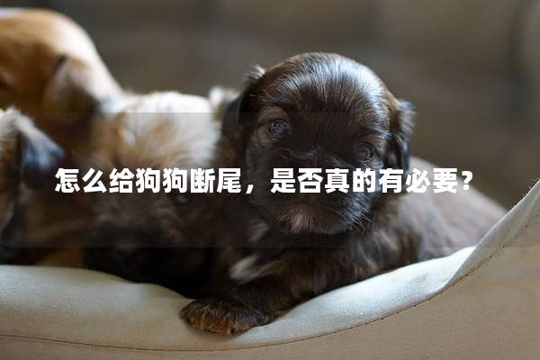 怎么给狗狗断尾，是否真的有必要？