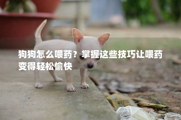狗狗怎么喂药？掌握这些技巧让喂药变得轻松愉快