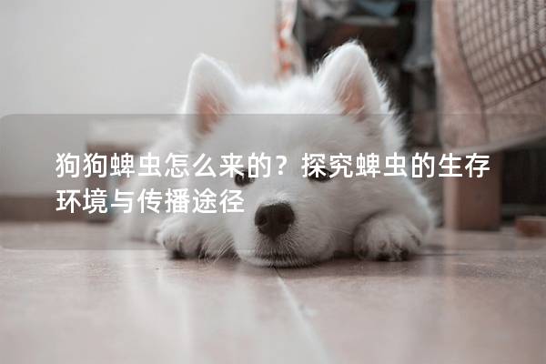 狗狗蜱虫怎么来的？探究蜱虫的生存环境与传播途径