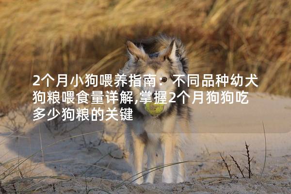 2个月小狗喂养指南：不同品种幼犬狗粮喂食量详解,掌握2个月狗狗吃多少狗粮的关键