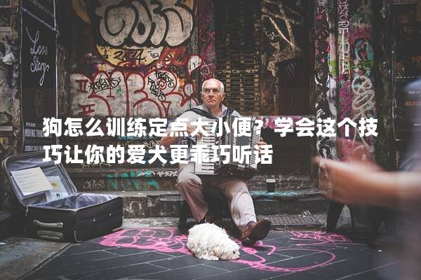 狗怎么训练定点大小便？学会这个技巧让你的爱犬更乖巧听话