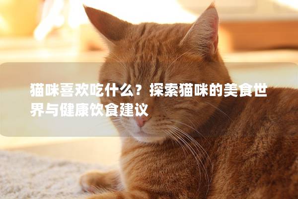 猫咪喜欢吃什么？探索猫咪的美食世界与健康饮食建议