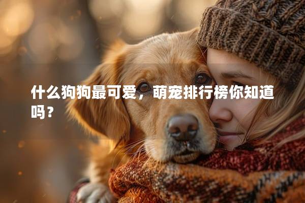 什么狗狗最可爱，萌宠排行榜你知道吗？