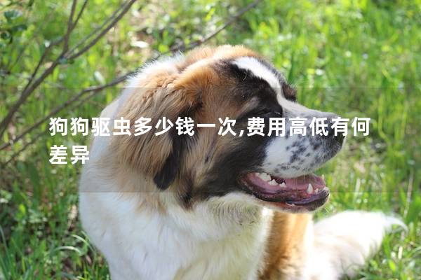 狗狗驱虫多少钱一次,费用高低有何差异
