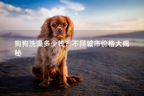 狗狗洗澡多少钱？不同城市价格大揭秘