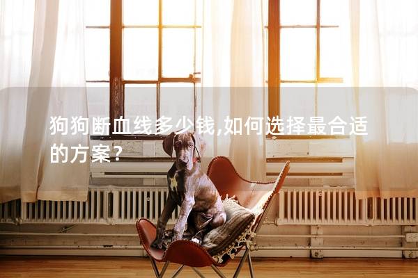 狗狗断血线多少钱,如何选择最合适的方案？
