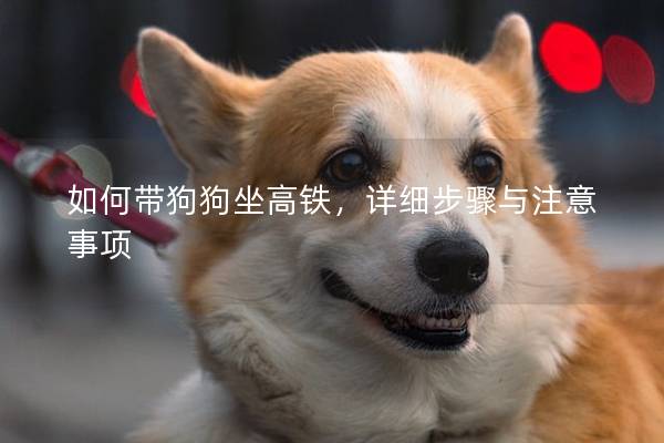 如何带狗狗坐高铁，详细步骤与注意事项