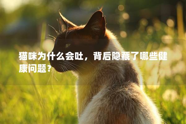 猫咪为什么会吐，背后隐藏了哪些健康问题？