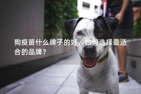 狗疫苗什么牌子的好，如何选择最适合的品牌？
