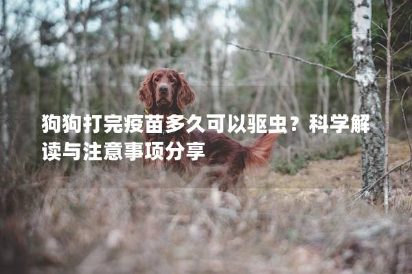狗狗打完疫苗多久可以驱虫？科学解读与注意事项分享